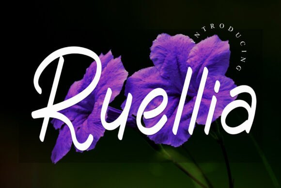 Ruellia: A Font for Elegant Branding
